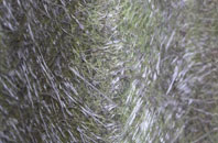 Inkpen Common fibreglass roof work